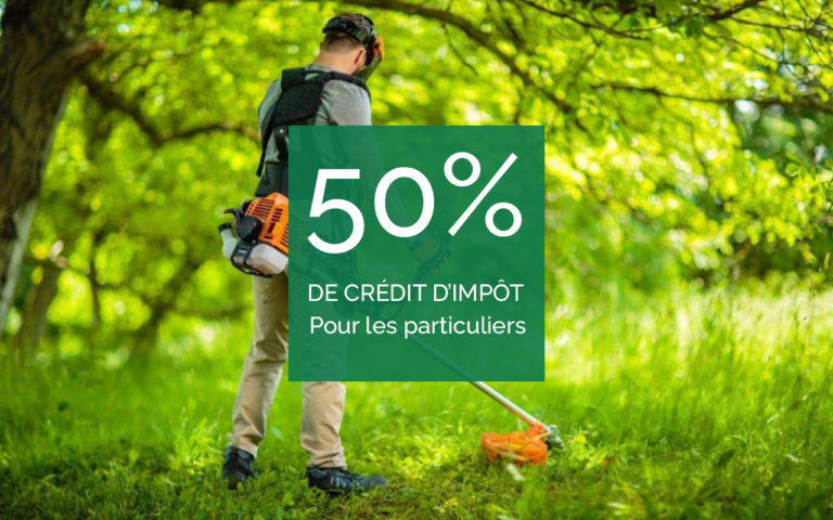 Tout savoir sur le crédit d’impôt pour des travaux de jardinage dans le