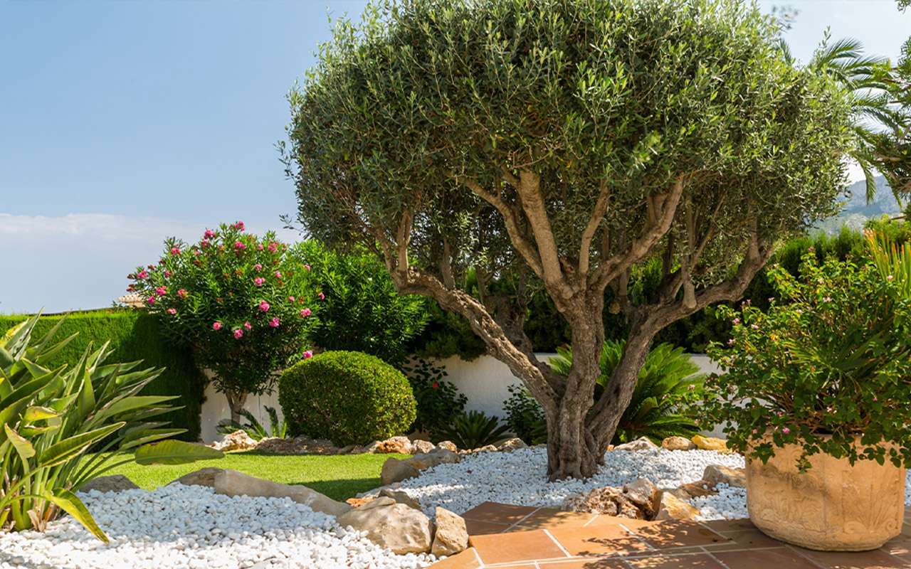 jardinier paysagiste Toulon